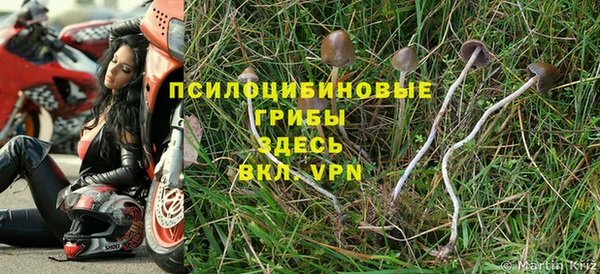 не бодяженный Магадан