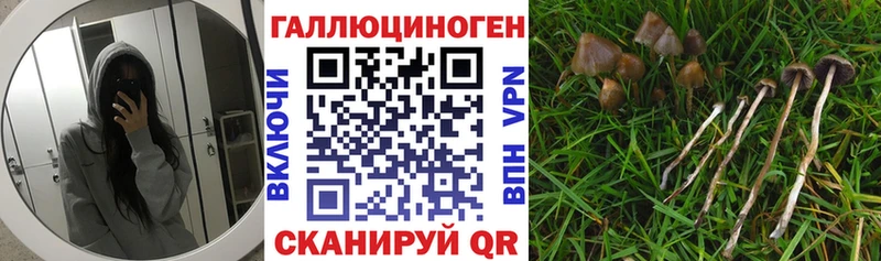 Галлюциногенные грибы GOLDEN TEACHER Тетюши