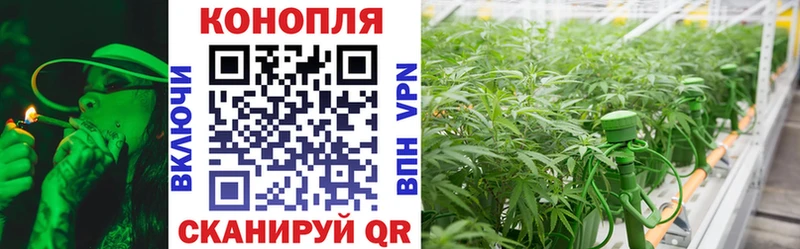 OMG ТОР  сколько стоит  мориарти официальный сайт  Каннабис семена  Тетюши 